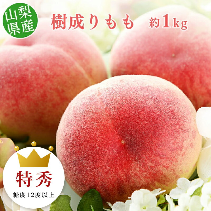 【数量限定10％クーポン配布中】 【糖度12度以上保障】【のし対応可】糖度12度以上選果 山梨県産 樹成りもも 3−4玉 約1kg 【沖縄・離島お届け不可】もも 糖度 送料無料 桃 ギフト 贈答 お中元 内祝い ギフト プレゼントのサムネイル
