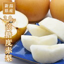 【のし対応可/インスタで話題!】糖度13度! 新潟県産 高糖度赤梨 4-7玉 約2.0kg 梨 幸水 梨 豊水 梨 あきづき 梨 南水 梨 新高 梨 新興 梨