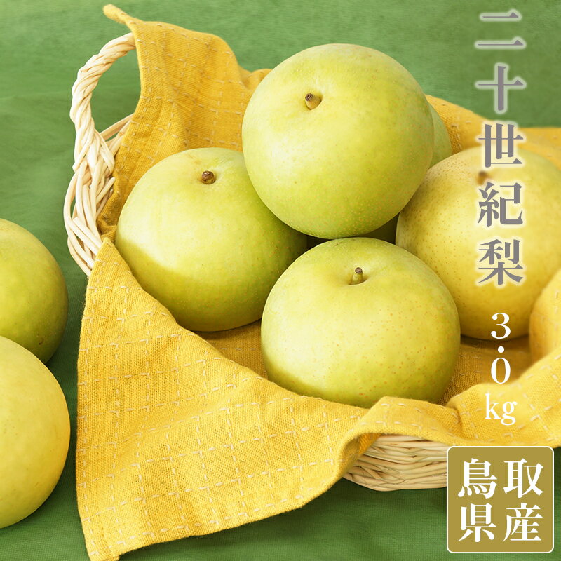 【のし対応可】送料無料 鳥取県産 二十世紀梨 8-11玉 約3kgのサムネイル