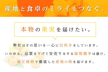 送料無料 青森県産 弘前 高糖度 サンふじ 10-11玉 約3kgサンふじ 高糖度 サンふじ 贈答用 サンふじリンゴ サンふじりんご サンふじ 送料無料 リンゴ 青森産 りんご 林檎