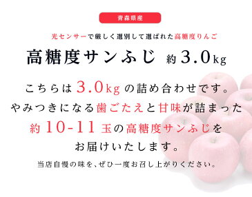 送料無料 青森県産 弘前 高糖度 サンふじ 10-11玉 約3kgサンふじ 高糖度 サンふじ 贈答用 サンふじリンゴ サンふじりんご サンふじ 送料無料 リンゴ 青森産 りんご 林檎