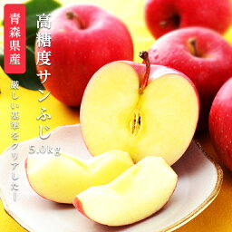 りんご 【のし対応可】送料無料 青森県産 弘前 高糖度 サンふじ 14-18玉 約5kg サンふじ 高糖度 サンふじ 贈答用 サンふじリンゴ 5kg りんご 5kg サンふじりんご サンふじ 送料無料 リンゴ 青森産 りんご 林檎