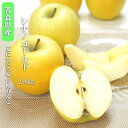 送料無料 青森県産 りんご シナノゴールド 10-12 約2.8kg シナノゴールド リンゴ 送料無料 贈答 プレゼント内祝い 出産祝い フルーツギフト ギフト 林檎(4)