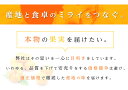 【のし対応可 / インスタで話題！】香川県産 いちご 軸付き 女峰 約1キロ 手詰め箱 苺 ギフト 贈答 プレゼント 内祝い 出産祝い フルーツギフト お歳暮 お祝い