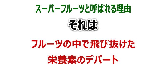 愛媛産 甘熟 キウイ8〜10玉　約1kg