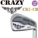 クレイジーゴルフ CRZ-CB アイアン用 ヘッドパーツ 単品(1個)#4 22度 ヘッドのみ 2022年モデル シルバー 日本正規品 CRAZY CB GOLF Iron Heads HEAD ONLY 22sp