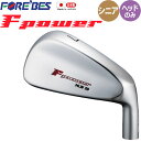 シニア向け フォーブス F POWER HLW 20 Aタイプ アイアン用 ヘッドパーツ 5個セット 軽量モデル #6,7,8,9,Pw 日本製 エフパワー FOREBES A type Iron Heads