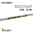 トゥルーテンパー ダイナミックゴールド EX ツアーイシュー テーパー X100 アイアン #5 - #W セット スチールシャフト TRUE TEMPER shaft Iron steel 3612L1