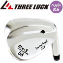 スリーラック Dツアー リミテッド フォージド ニイチゴ ウェッジ用ヘッドパーツ ヘッドのみ 2021年モデル THREE LUCK D-tour Wedge Limited Forged 215 21sp