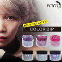 ロイド カラー ディップ ROYD COLOR DIP トリートメント