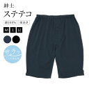 【全品クーポン最大1000円OFF 5/9~16】ステテコ メンズ 綿100% 下ばき 前開き 紳士 黒 ブラック 紺 ネイビー オールシーズン ハーフパンツ 和装下着 肌着 男性 着付け小物 和装小物 M L LL 送料無料