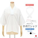 マラソン☆最大1000円クーポン配布中☆11/11 1:59までTシャツ半襦袢 衿芯 セット 襟芯 半衿Tシャツ 半襦袢 筒袖 綿 差し込み式 天然素材 白 黒 通年 男女兼用 七分袖 着付け小物 和装 日本製 送料無料