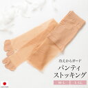 全品対象★最大1000円クーポン配布中☆10/30まで パンティストッキング ストッキング レディース 足袋 和装下着 サポートタイプ オークル ベージュ クリアヌード このび 和装 着物 日本製 M~L L~LL メール便 送料無料
