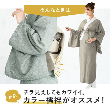 【9/4~11最大半額★全品クーポン1000円OFF】二部式長襦袢 半襦袢 裾除け 洗える長襦袢 シンプル カラフル 半襟付 衣紋抜き付 小紋向け 訪問着向け 着付け小物 女性用 フォーマル カジュアル 仕立て上がり あす楽対応商品