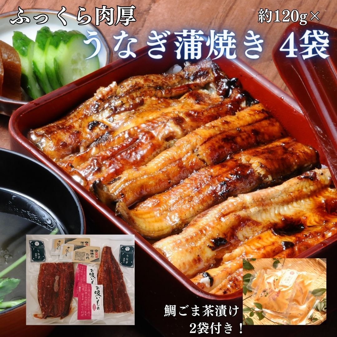 クーポン利用で4900円 【うなぎ 約120g×4袋& 鯛茶漬け 2袋付き】うなぎ蒲焼き お中元 土用の丑の日 うなぎ 土用丑 うなぎの蒲焼き うなぎ ウナギ 鰻 蒲焼き 蒲焼 食べ物 高級 グルメ わけあり鰻 自宅用 鰻蒲焼き 60代 70代 80代 うなぎセット 鰻のかばやきのサムネイル
