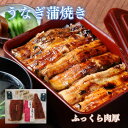 【 うなぎ蒲焼き 約120g×12袋】 土用の丑の日 うなぎ ギフト 土用丑 うなぎ ウナギ 鰻 蒲焼き 蒲焼 食べ物 高級ギフト 食べ物 うなぎ 誕生日 お返し お祝い 快気祝い お礼 うなぎ小分け 海鮮 誕生日 鰻のかばやき うなぎかばやき 鰻蒲焼き 敬老の日 60代 70代 80代