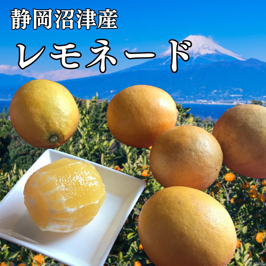 レモン 2箱【約2キロ×2箱】合計約4キロ箱込み 業務用 訳ありレモン 西浦レモネード れもん レモネード 甘いレモン 食べられるレモン 檸檬 訳ありみかん 静岡 蜜柑 果物 フルーツ 柑橘 果物 柑橘類 お土産 誕生日 母の日 父の日 かんきつ 柑橘 お礼 お取り寄せのサムネイル