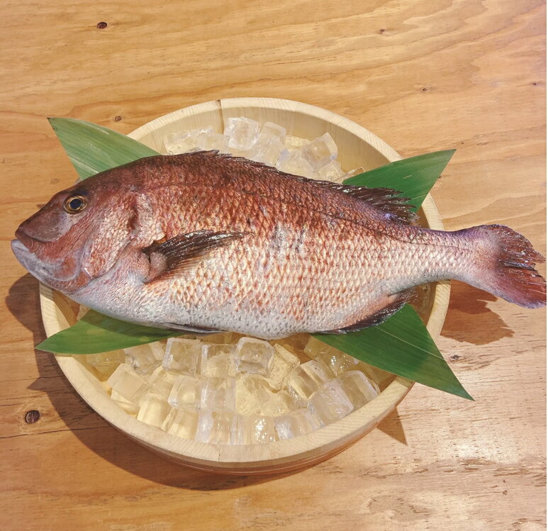 ��ǯ�� ���Ż����� ��1.5������4��(�����6����) �ޥ���4�� ��1����������1.5������ ������ ��̳������ ���� ���� ����Ź���� �� ���� �ޥ��� �饦��� ����ľ�� ���� ���ˤ� ���� �䤪¤�� ������ ��1�� ��������� ���ɿ� ���� �ɿ�