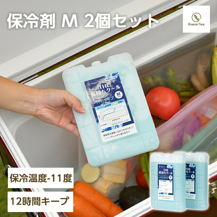 -11℃強力 保冷剤 ハードタイプ M 2個