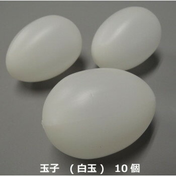 ʥץ롡̻ҡ()10ġIP-501 ̵ ݥ  ᡼ľ ꡦեʸΥ󥻥롦Բ ʤ...