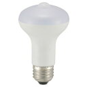OHM LED電球 レフランプ形 E26 60形相当 人感明暗センサー付 電球色 LDR7L-W/S 9 送料無料 クーポン 配布中 メーカー直送 代引き・期日指定・ギフト包装・注文後のキャンセル・返品不可 欠品の場合、納品遅れやキャンセルが発生します