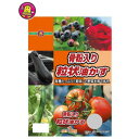 SUNBELLEX(サンベルックス) 骨粉入り粒状油かす 1kg×8袋 送料無料 クーポン 配布中 メーカー直送 代引き・期日指定・ギフト包装・注文後のキャンセル・返品不可 欠品の場合、納品遅れやキャンセルが発生します