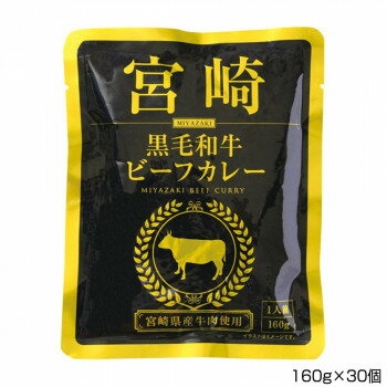 10%OFF 一 はじめ 宮崎黒毛和牛ビーフカレー 160g×30個 P10 送料無料 メーカー直送 代引き・期日指定・ギフト包装・注文後のキャンセル・返品不可 納品遅れやキャンセルが発生