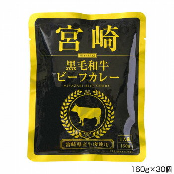 一 はじめ 宮崎黒毛和牛ビーフカレー 160g×30個 P10 送料無料 クーポン 配布中 メーカー直送 代引き・期日指定・ギフト包装・注文後のキャンセル・返品不可 欠品の場合、納品遅れやキャンセルが発生します