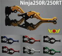 【送料無料!!】Ninja250R/250TR アルミ削り出しカスタムショートレバーセット