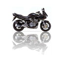 【送料無料 】IXIL(イクシル)SUZUKI GSF 600 N BANDIT 01-03 (WVA8) XOVS-オーバルタイプ バンデイット スリップオン サイレンサー GSF600N WVA8 オーバル アルミ 逆輸入 逆車