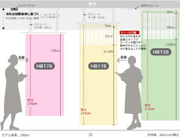 病院 医療 カーテン 診療所 接骨院 整骨院 鍼灸院 サロン エステサロン ベッド 間仕切り 制菌 防炎 防臭 防汚 洗える 日本製 オールインワン 既製サイズ 巾300cm CSZ