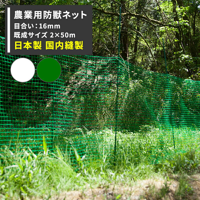 [10OFF25ꥯݥ+P1025204H]˥ޥͥå ɽ ѥͥå 16mm 2mĹ50m[Ļ ...