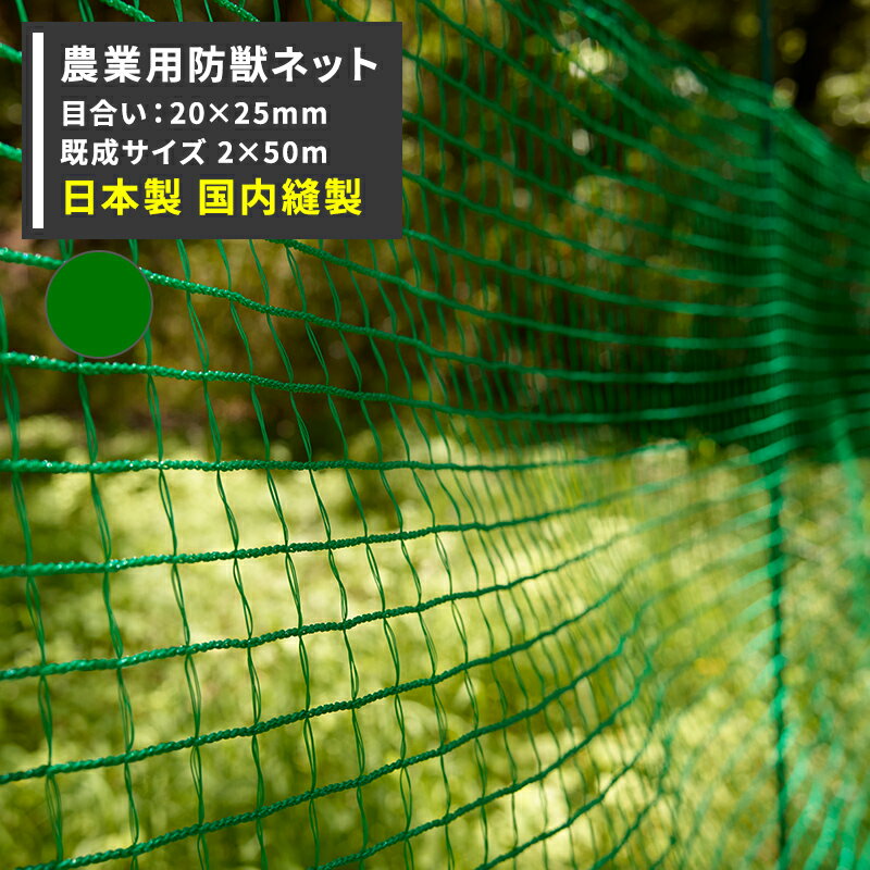 [10OFF25ꥯݥ+P1025204H]˥ޥͥå ɽ ѥͥå 20250mm 2mĹ50m...