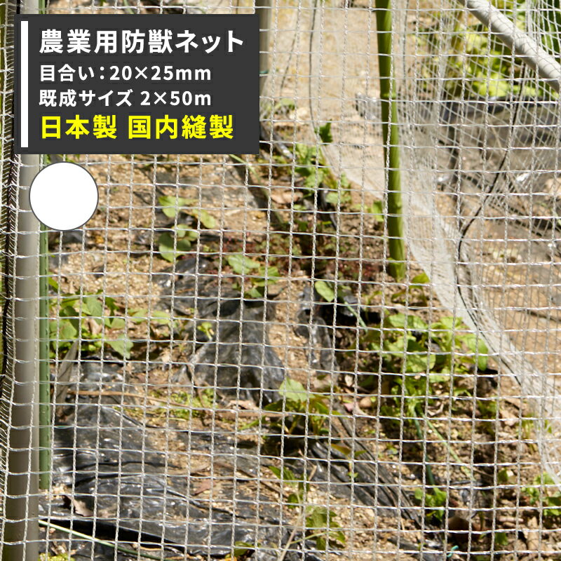 [10OFF25ꥯݥ+P1025204H]˥ޥͥå ɽ ѥͥå 20250mm 2mĹ50m...