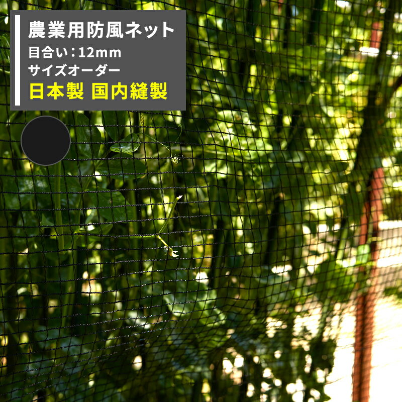 [P1010204Hߥѡ10OFFݥ]ͥå ѥͥå 12mm  300cmߡ200cm[磻ɥå...
