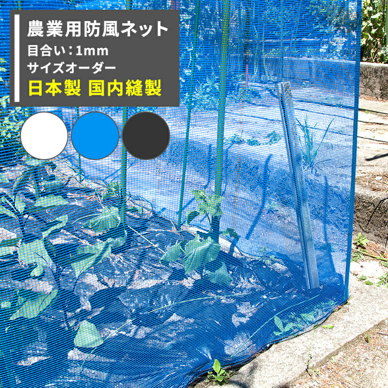 [P10倍10日20時〜4H×スーパーセール10