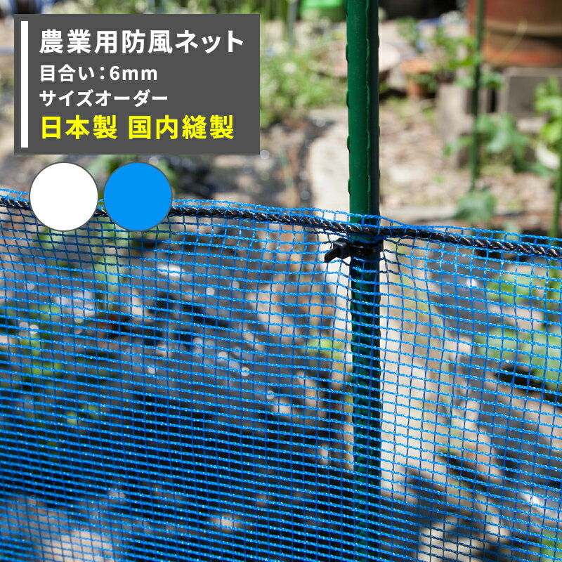 [P1010204Hߥѡ10OFFݥ]ͥå ѥͥå 6mm  300cmߡ100cm[磻ɥå...