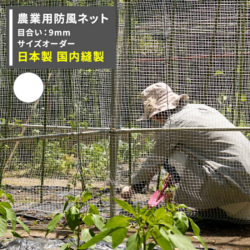 [10OFF15ꥯݥ]ͥå ѥͥå 9mm  100cmߡ300cm[磻ɥå   Ȫ  ...