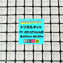 全品11％OFF×5/1限定クーポン プラスチックネット トリカルネット MS-2 黒 目合い20×21mm/200cm×50m巻 網 園芸 ガーデンネット 落下防止 階段 吹き抜け 獣害防止 ディスプレイネット イルミネーションネット 土木 鳥よけ 網 ネット 販売 友安製作所 JQ