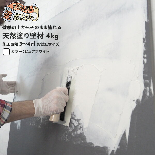 Diy 壁 塗装 検索ランキング注目度順 Diy 壁 塗装 住宅 不動産 Diy 壁 塗装 検索ランキング注目度順 Diy 壁 塗装 住宅 不動産