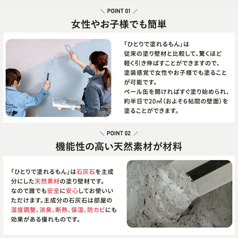 漆喰風 簡単 ぬり壁 ひとりで塗れるもん 11kg 22kg石灰製壁材 塗料 天然塗り壁材 DIY 内装仕上げ材 壁紙の上から塗れる 天井 防カビ 塗りやすい ブルーグレー ブラック ネイビー ホワイト 白 トミーブルー OWQ 2