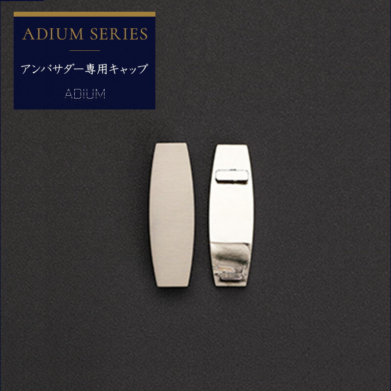 Iron - カーテンレール アイアンレール ADIUM 専用 部材 キャップ アンバサダー用 H-N-0