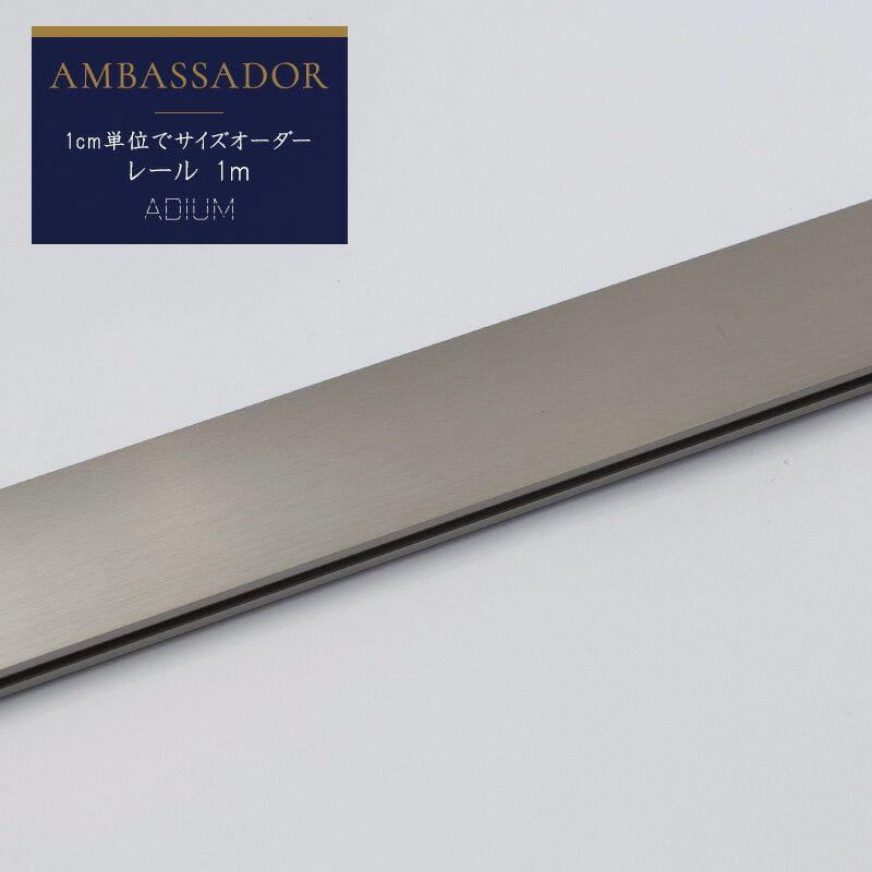 Iron - カーテンレール アイアンレール ADIUM 専用 部材 レール アンバサダー 0.5~1m H-N-0