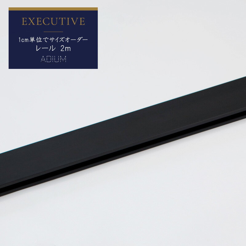 [10％OFF×25日限定クーポン+P10倍25日20時〜4H]カーテンレール アイアンレール ADIUM 専用 部材 レール エグゼクティブ 1~2m