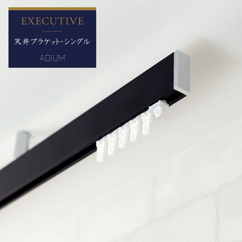 [N[|pőSi11OFF~6/1]J[e[ ACA[ ADIUM GO[NeBu VuPbg [5`6m܂]  OWA[ l N[  @\ i @\ hCc `I C ze EXECUTIVE rail AfBE [ }bg