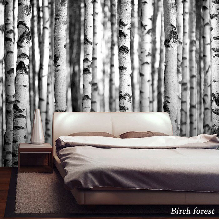 壁紙 輸入壁紙 イギリスブランド 1wall Birch forest「白樺の森」 粉のり付き ［インポート壁紙 デザイン おしゃれ 輸入 海外 クロス DIY リフォーム 撮影 背景 背景紙 店舗 装飾 インテリア 内装］ 友安製作所 C-F-1