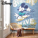 ǎ NX Aǎ C|[gǎ fBYj[ DISNEY  ւ ͂Ђg C R}[ fBYj[ Mickey Brave the Wave ~bL[uCuUEF[u IADX4-014 CSZ