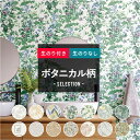 全品11％OFF×5/1限定クーポン 壁紙 のり付き のりなし クロス DIY おしゃれ ボタニカル 南国 リゾート カラフル ジャングル サボテン 花 花柄 フラワー 木 ツリー のり付き フラワー ボタニカル セレクション サンゲツ 東リ トキワ リリカラ ルノン JQ