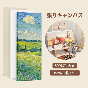 新品入荷★キャンバス キャンバスボード 張りキャンバス 絵画ボード ボールドキャンバス アクリル絵の具 油絵 絵画 中目 油絵・アクリル・水彩兼用 描画 画布 綿化繊 厚手 オイル漏れ防止 子供 初心者 野外 学校 絵画教室 30*9.7*1.5cm
