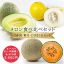 【父の日】メロン食べ比べ 5玉 セット 赤肉 青肉 白肉 クール便 送料無料お中元 クインシーメロン マスクメロン アールスメロン 肥後グリーン グリーンメロン キンショウメロン タカミメロン アンデスメロン 緑肉 品種 産地 直売 農家 農園 産直 通販